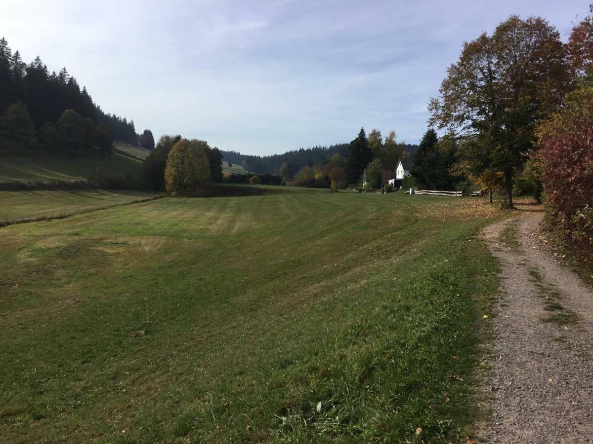 Gemuetliche 1Z Fewo In Schoenwald Mit Balkon, Schwimmbad, Sauna, Fitness Eksteriør billede
