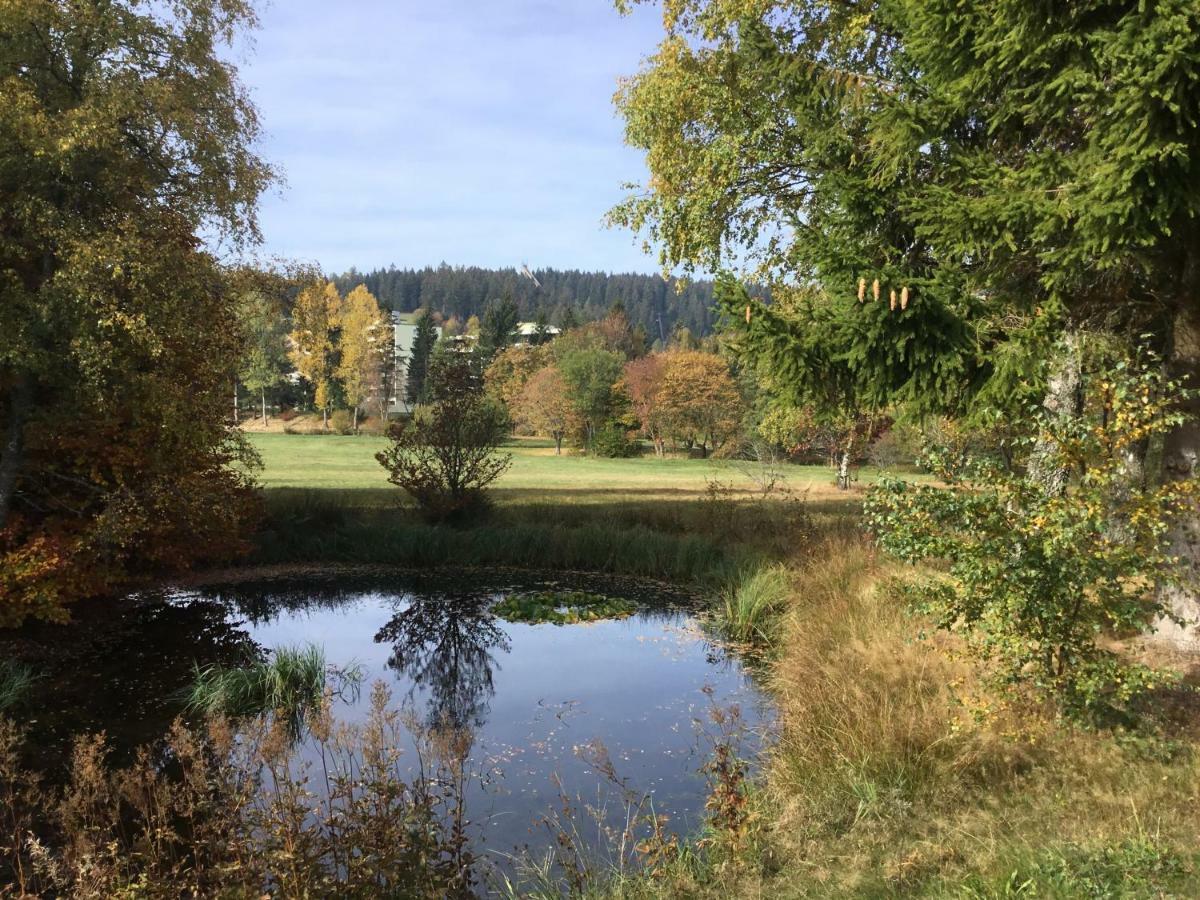 Gemuetliche 1Z Fewo In Schoenwald Mit Balkon, Schwimmbad, Sauna, Fitness Eksteriør billede